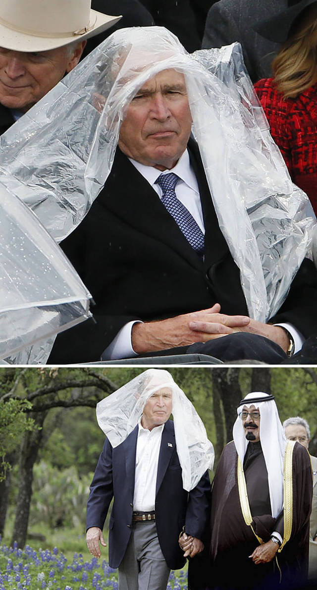 Daily Picdump [WEEKEND EDITION]