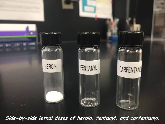 daily picdump 109 pics 5.html - 109 HD Photos | Premium Gallery 2017