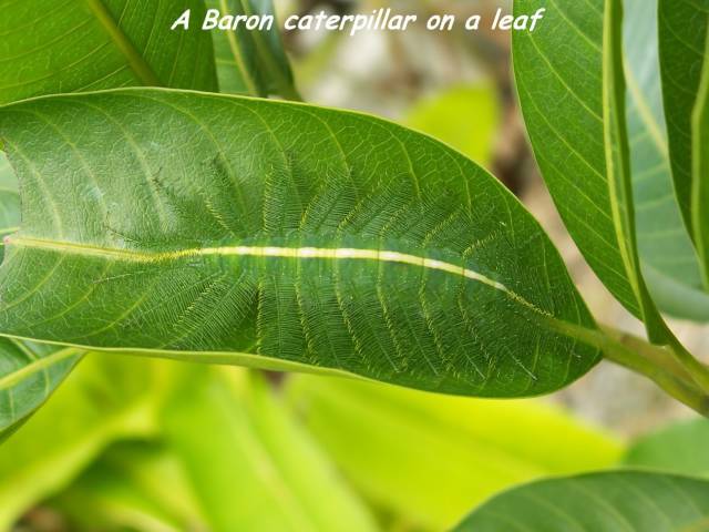 daily picdump 109 pics 5.html - 109 HD Photos | Premium Gallery 2017