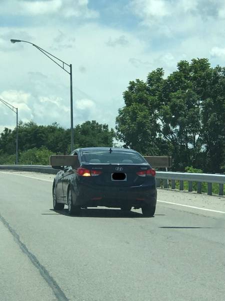 daily picdump 109 pics 5.html - 109 HD Photos | Premium Gallery 2017