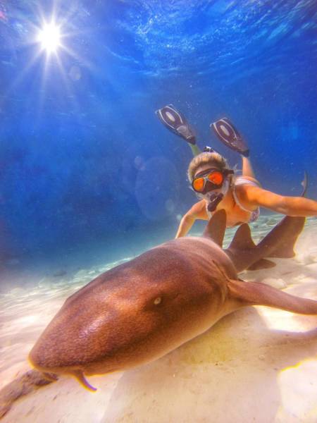 daily picdump 109 pics 5.html - 109 HD Photos | Premium Gallery 2017