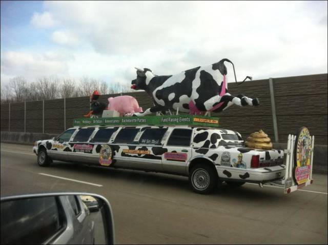 daily picdump 109 pics 5.html - 109 HD Photos | Premium Gallery 2017