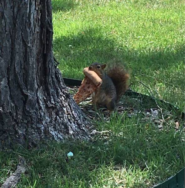 daily picdump 109 pics 5.html - 109 HD Photos | Premium Gallery 2017