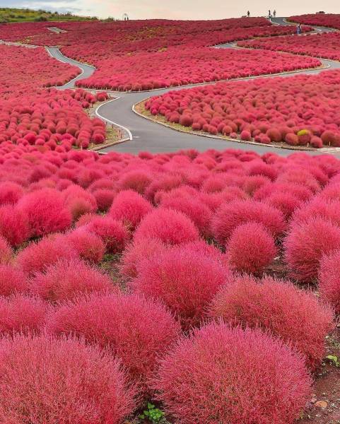 daily picdump 109 pics 5.html - 109 HD Photos | Premium Gallery 2017