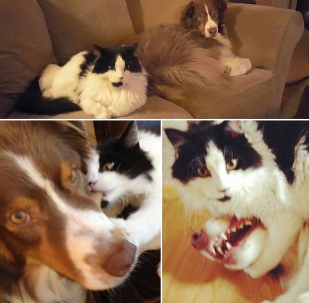 daily picdump 109 pics 5.html - 109 HD Photos | Premium Gallery 2017