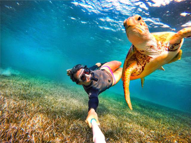 daily picdump 109 pics 5.html - 109 HD Photos | Premium Gallery 2017