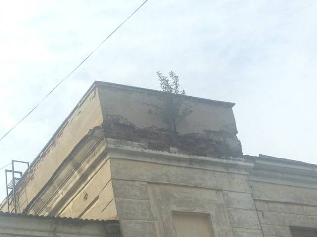 daily picdump 93 pics 41.html - 93 HD Photos | Premium Gallery 2017