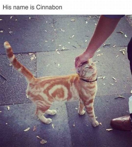 daily picdump 93 pics 41.html - 93 HD Photos | Premium Gallery 2017