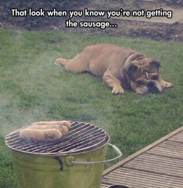 daily picdump 93 pics 41.html - 93 HD Photos | Premium Gallery 2017