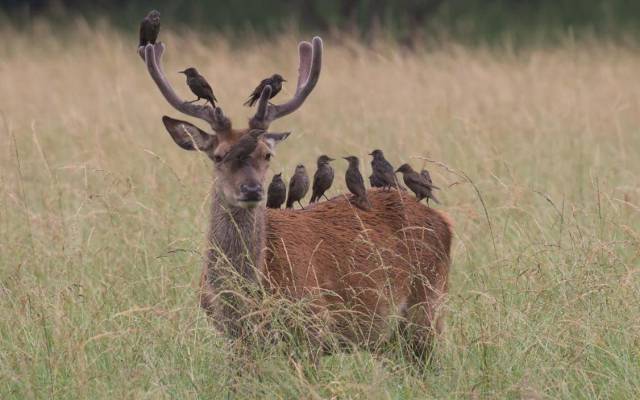 daily picdump 93 pics 41.html - 93 HD Photos | Premium Gallery 2017