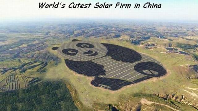 daily picdump 93 pics 41.html - 93 HD Photos | Premium Gallery 2017