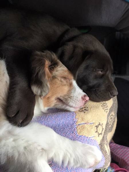 morning picdump 50 pics 8.html - 50 HD Photos | Premium Gallery 2017