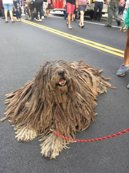 morning picdump 50 pics 8.html - 50 HD Photos | Premium Gallery 2017