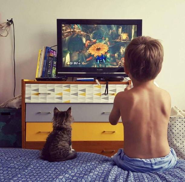 daily picdump 98 pics 14.html - 98 HD Photos | Premium Gallery 2017