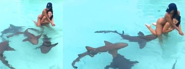 daily picdump 98 pics 14.html - 98 HD Photos | Premium Gallery 2017