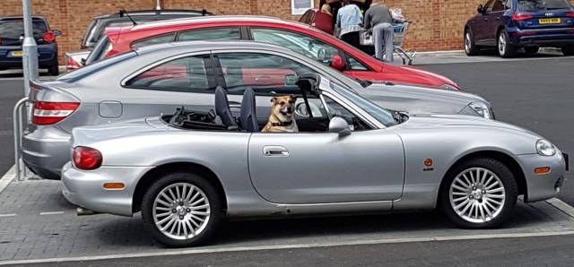 daily picdump 98 pics 14.html - 98 HD Photos | Premium Gallery 2017