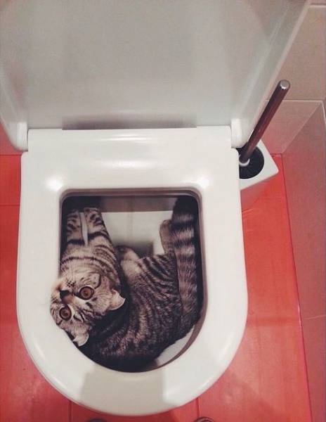 daily picdump 98 pics 14.html - 98 HD Photos | Premium Gallery 2017