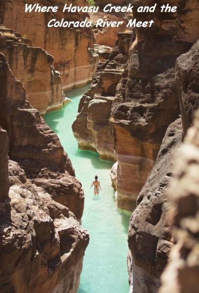 daily picdump 98 pics 14.html - 98 HD Photos | Premium Gallery 2017