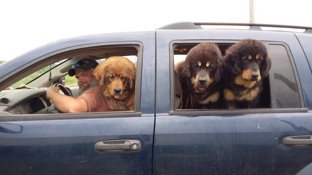 morning picdump 54 pics 20.html - 54 HD Photos | Premium Gallery 2017