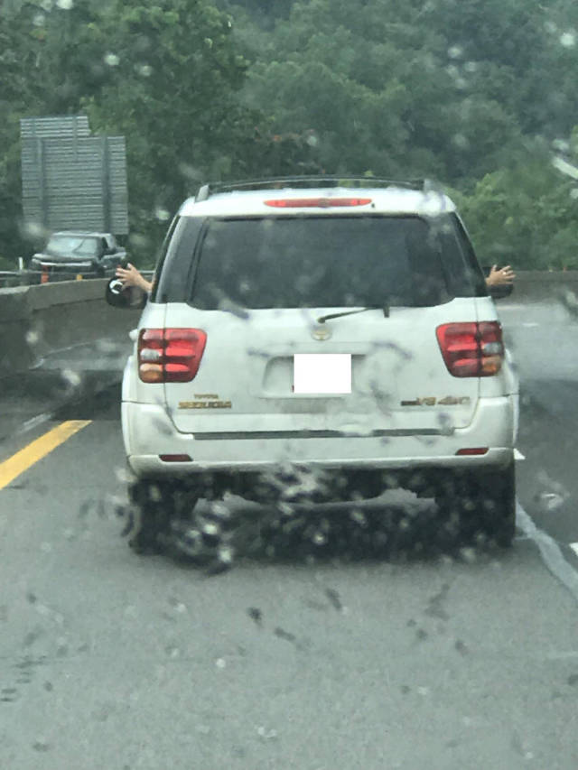 morning picdump 54 pics 20.html - 54 HD Photos | Premium Gallery 2017