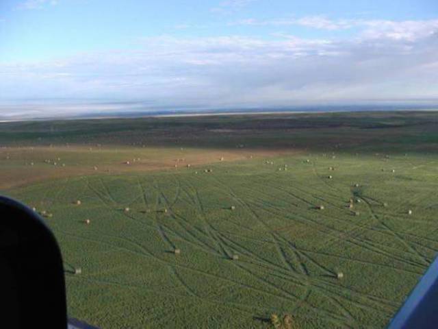 Wind Will Do Whatever It Wants With You