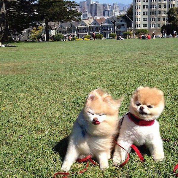 Wind Will Do Whatever It Wants With You