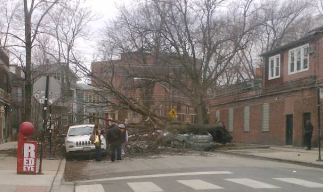 Wind Will Do Whatever It Wants With You