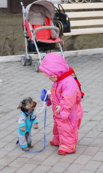 daily picdump 97 pics 20.html - 97 HD Photos | Premium Gallery 2017