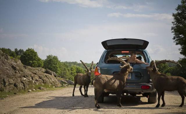 daily picdump 97 pics 20.html - 97 HD Photos | Premium Gallery 2017