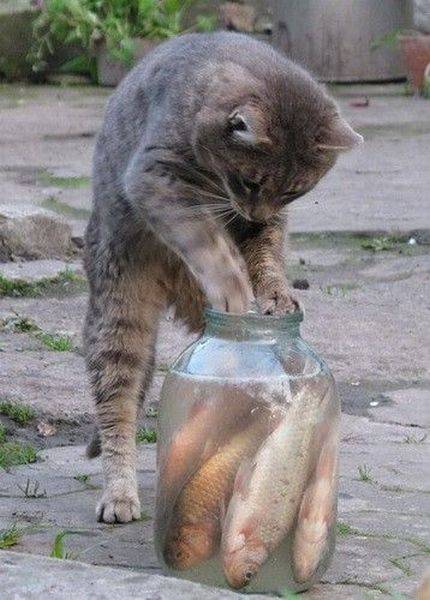 daily picdump 97 pics 20.html - 97 HD Photos | Premium Gallery 2017