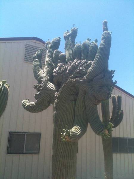 daily picdump 97 pics 20.html - 97 HD Photos | Premium Gallery 2017