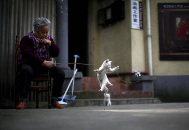 daily picdump 97 pics 20.html - 97 HD Photos | Premium Gallery 2017