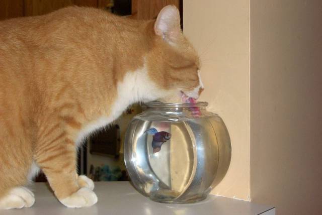 daily picdump 97 pics 20.html - 97 HD Photos | Premium Gallery 2017