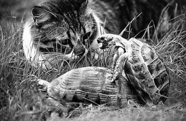 daily picdump 97 pics 20.html - 97 HD Photos | Premium Gallery 2017