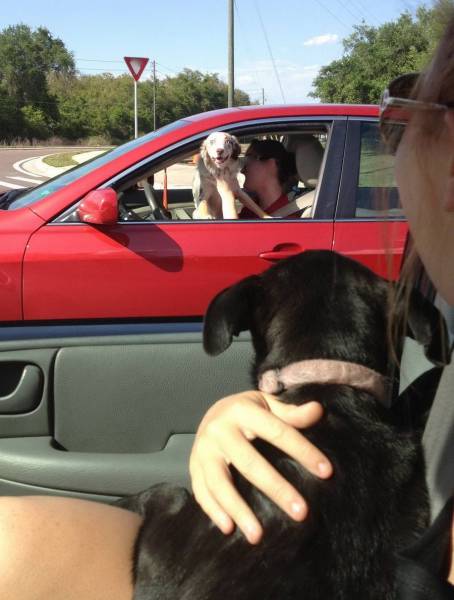 daily picdump 97 pics 20.html - 97 HD Photos | Premium Gallery 2017