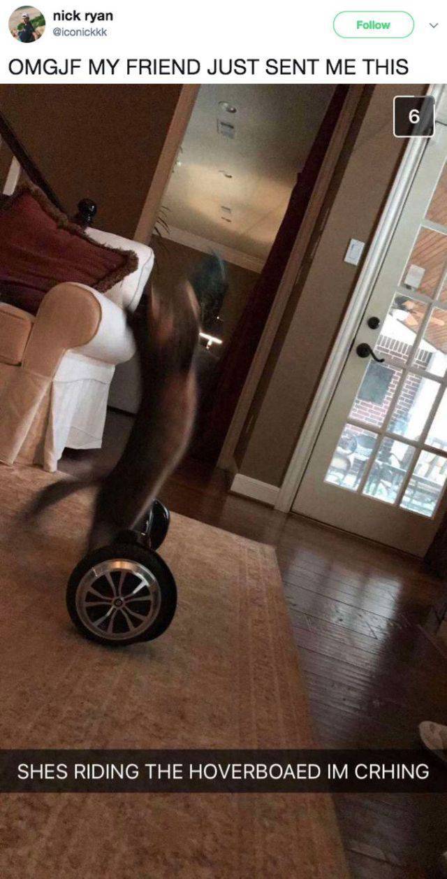 daily picdump 97 pics 20.html - 97 HD Photos | Premium Gallery 2017