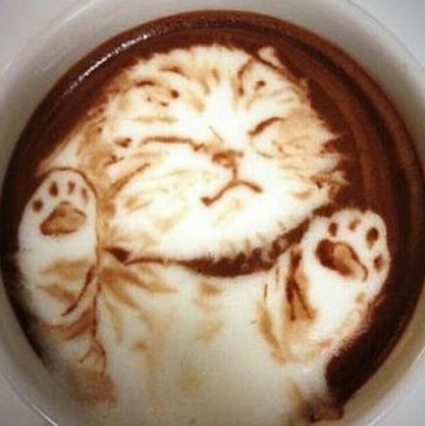 morning picdump 50 pics 3.html - 50 HD Photos | Premium Gallery 2017