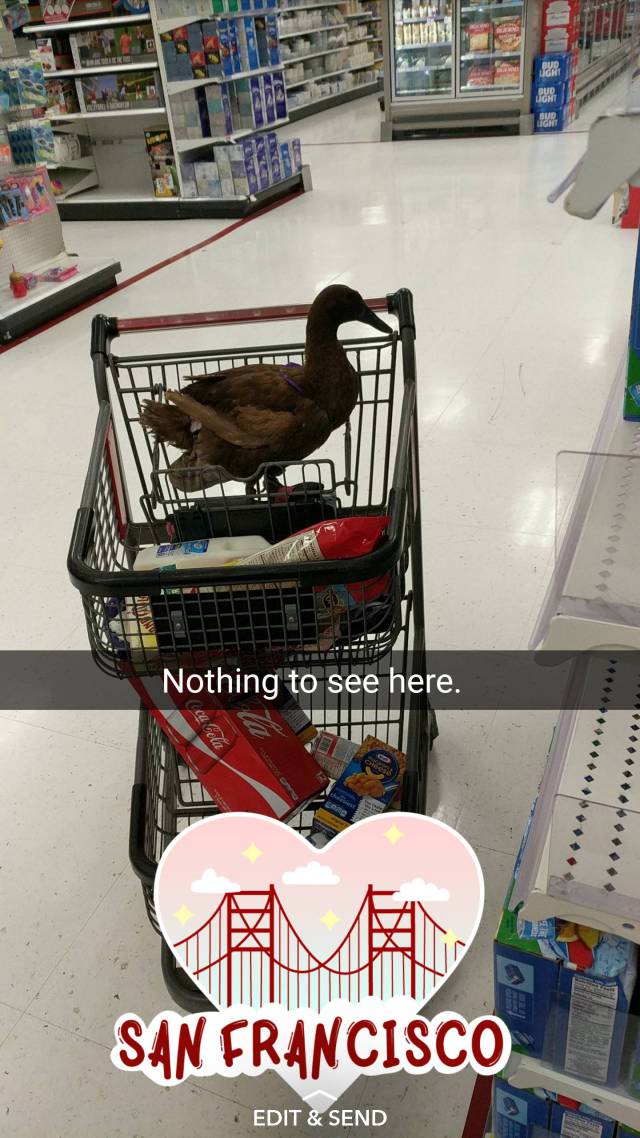 morning picdump 50 pics 3.html - 50 HD Photos | Premium Gallery 2017