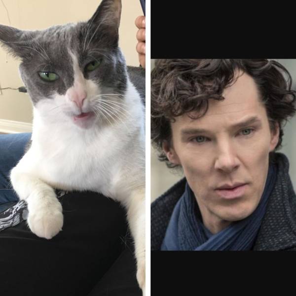 daily picdump 93 pics 44.html - 93 HD Photos | Premium Gallery 2017