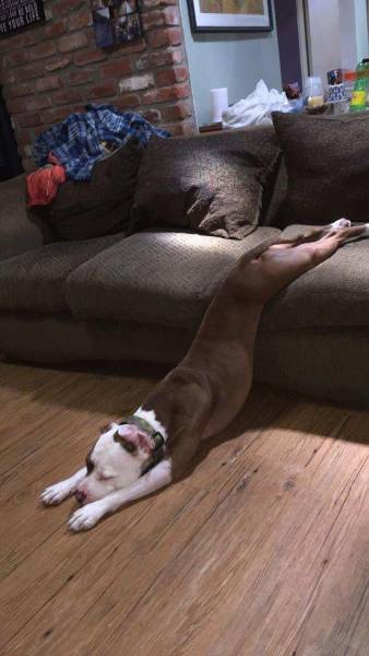 daily picdump 93 pics 44.html - 93 HD Photos | Premium Gallery 2017