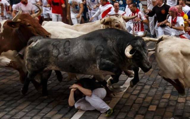 daily picdump 93 pics 44.html - 93 HD Photos | Premium Gallery 2017