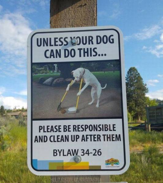 daily picdump 93 pics 44.html - 93 HD Photos | Premium Gallery 2017