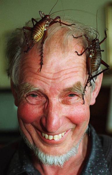 daily picdump 93 pics 44.html - 93 HD Photos | Premium Gallery 2017