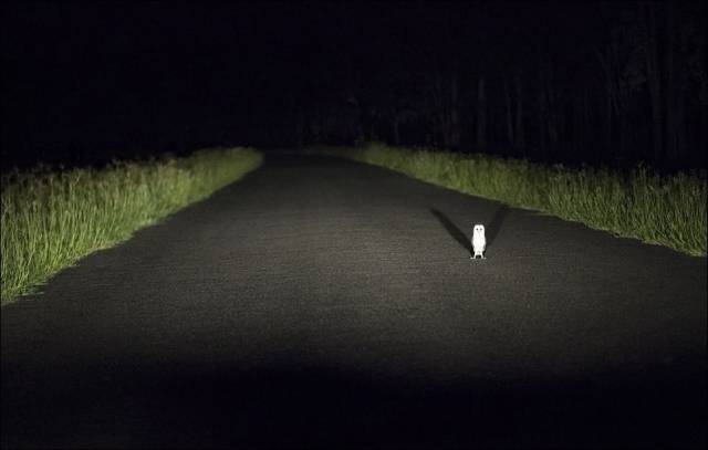 daily picdump 93 pics 44.html - 93 HD Photos | Premium Gallery 2017