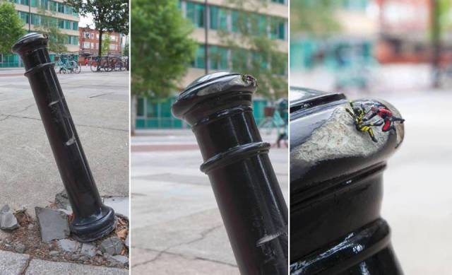 morning picdump 50 pics 2.html - 50 HD Photos | Premium Gallery 2017