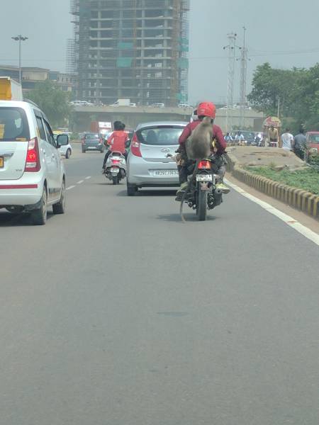 morning picdump 50 pics 2.html - 50 HD Photos | Premium Gallery 2017