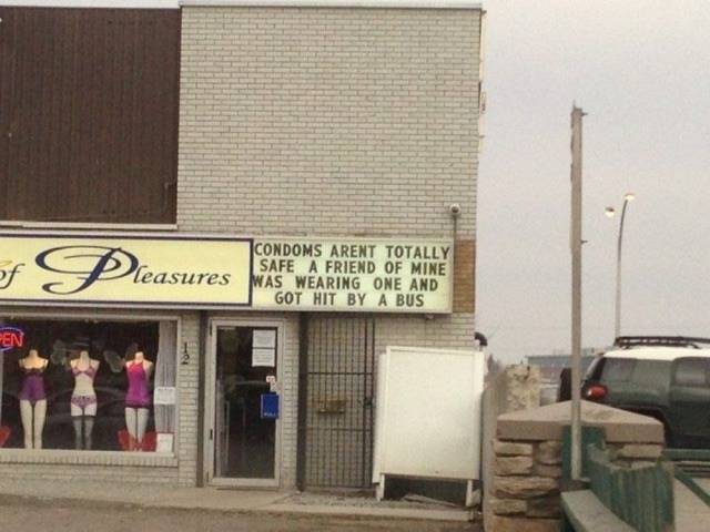 Daily Picdump [WEEKEND EDITION]