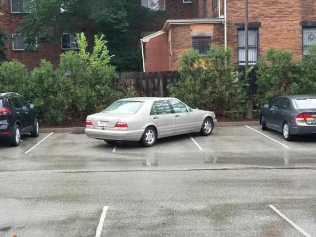 daily picdump weekend edition 66 pics 31.html - 66 HD Photos | Premium Gallery 2017