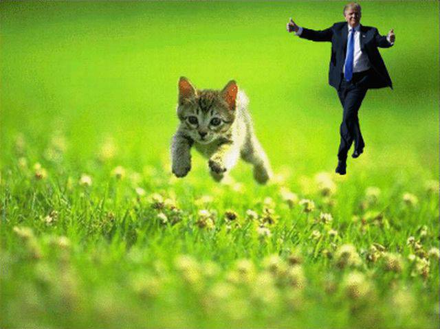 daily picdump weekend edition 66 pics 31.html - 66 HD Photos | Premium Gallery 2017