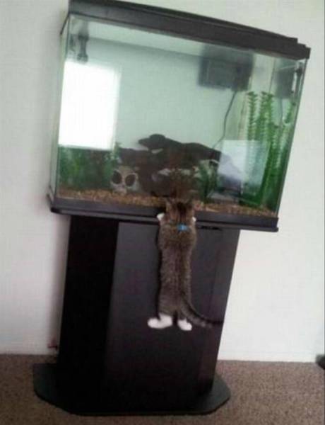 daily picdump 97 pics 44.html - 97 HD Photos | Premium Gallery 2017